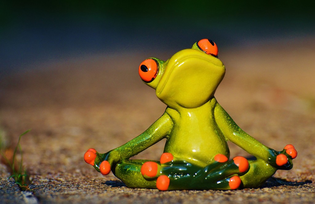 Frog doing yoga shows how to be healthy.