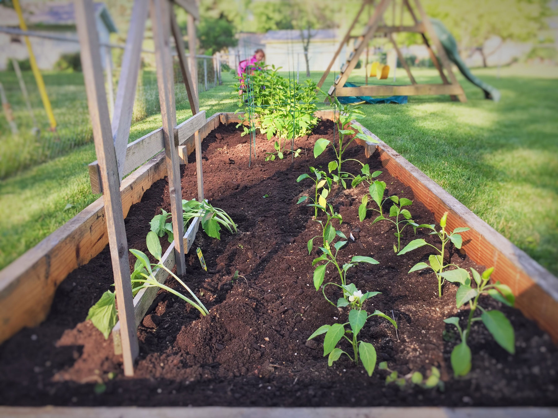 Garden Box 