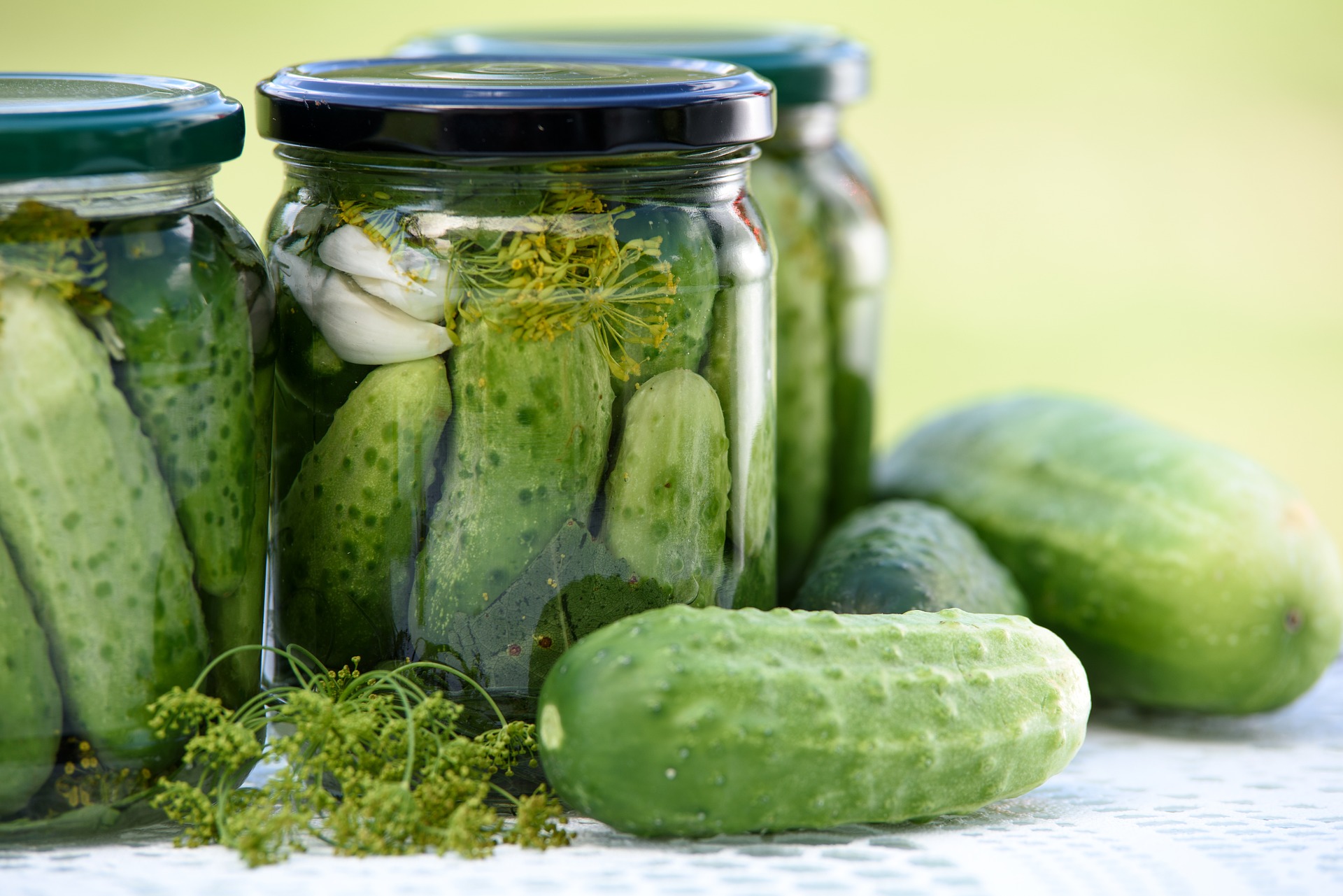 Pickled Cucumbers in Jar Outdoors