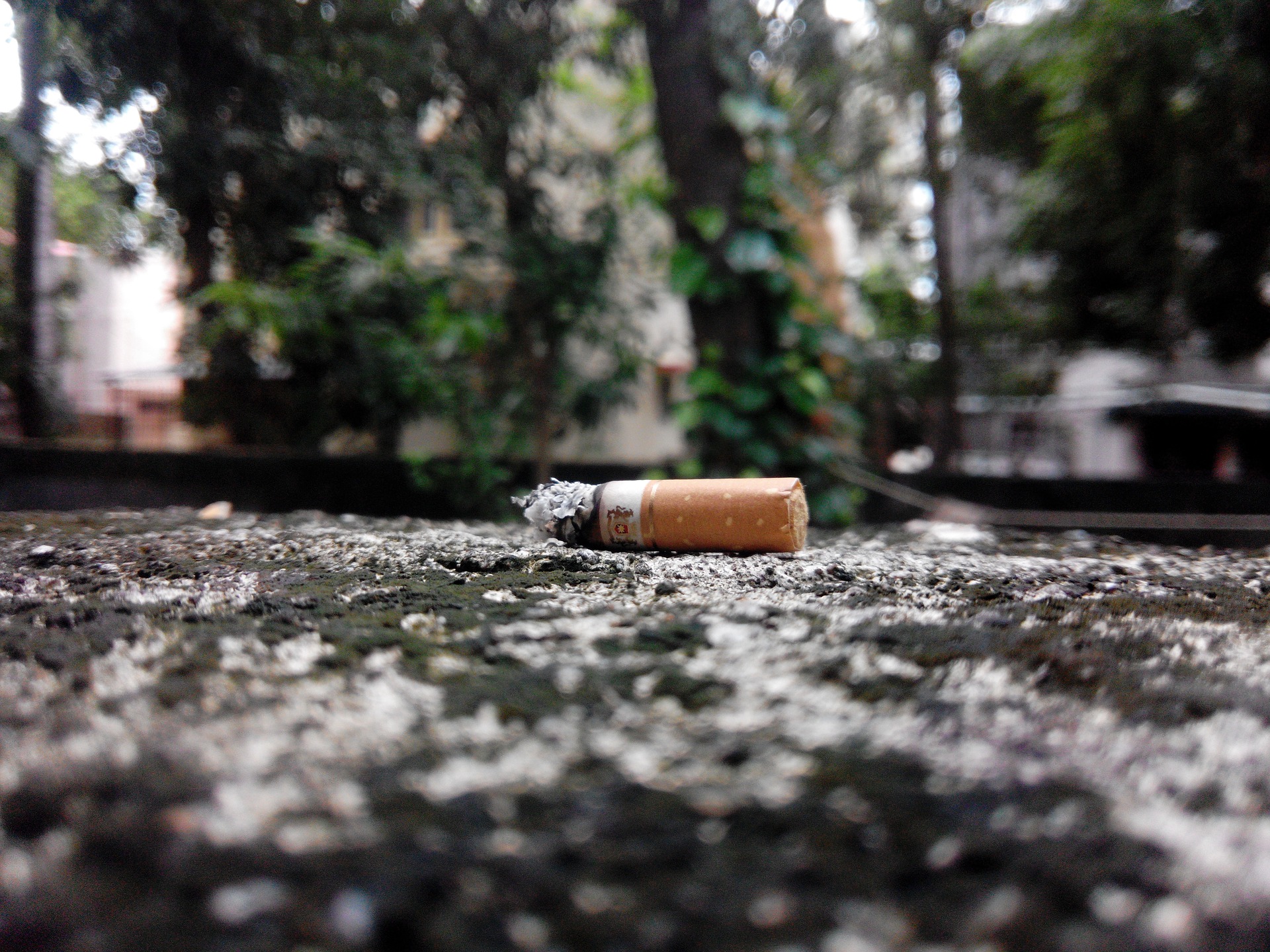 Cigarette butt on street