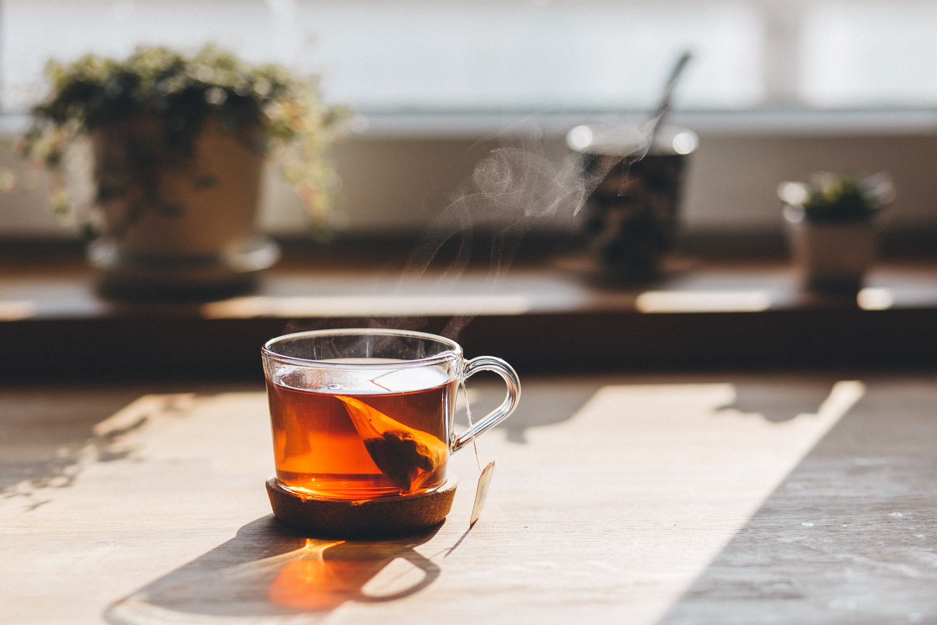 Hot tea in clear mug on kitchen table in front of window sill with flower pots